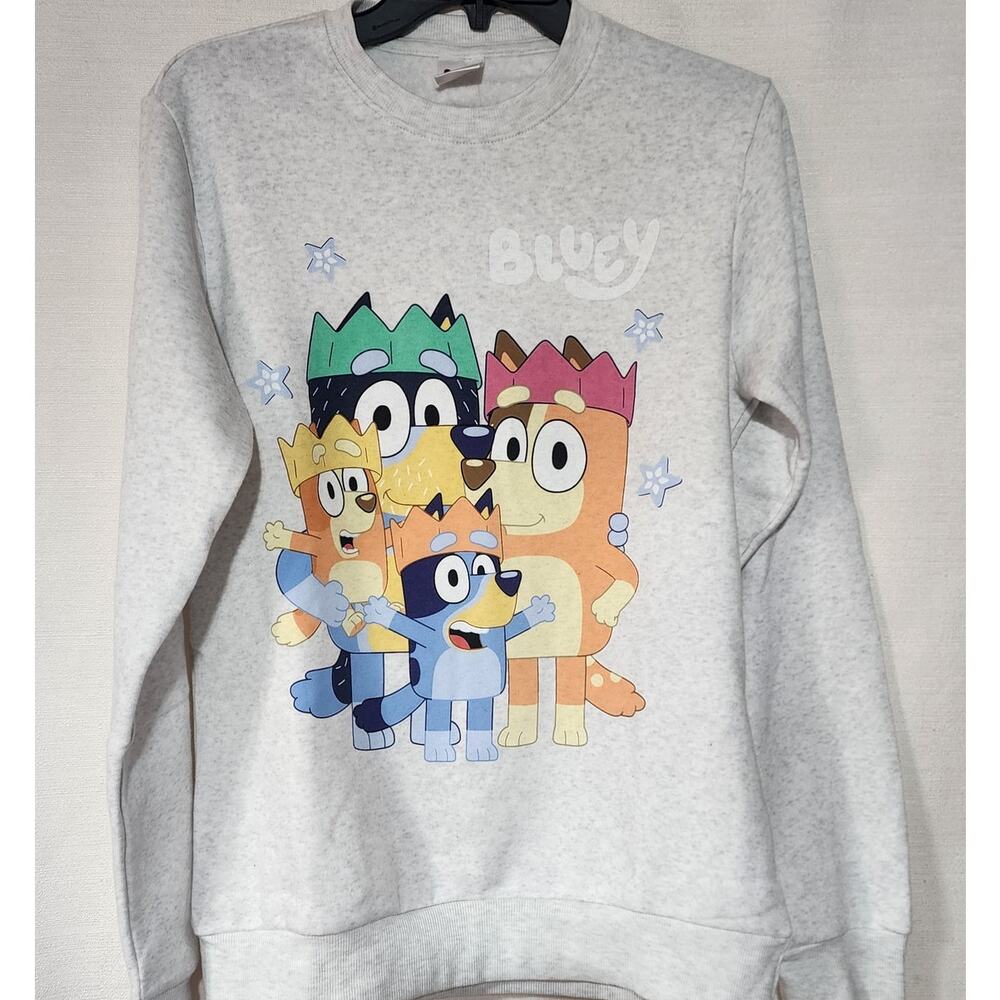 Bluey family gray sweatshirt men's small
